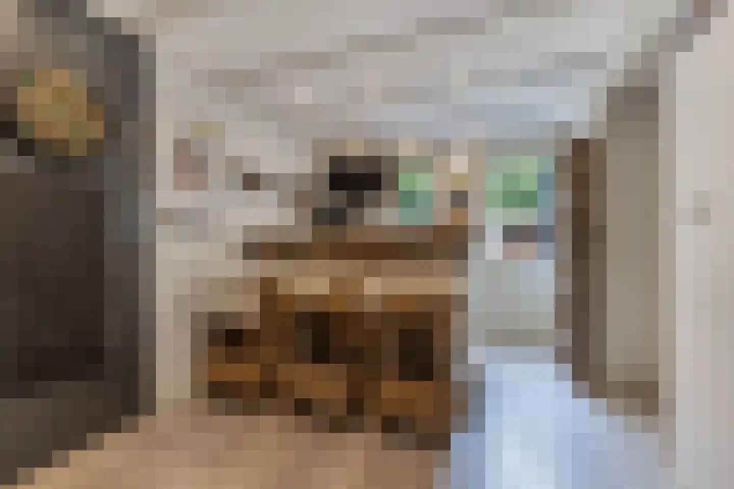 Nieuwe Bovenweg 8 Steggerda thumbnail 21