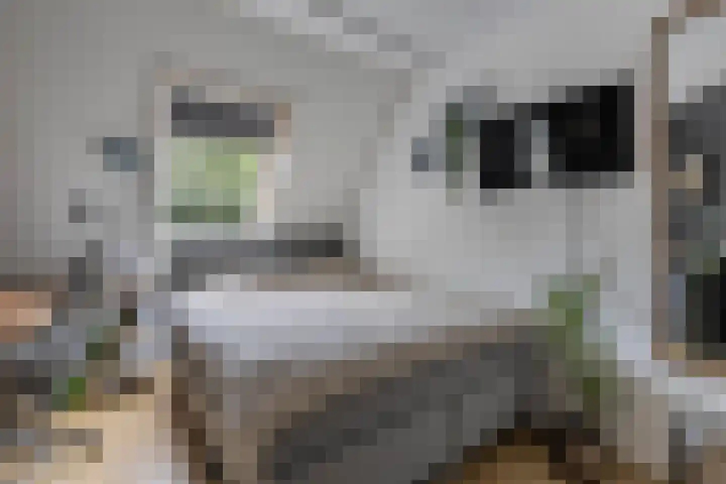Nieuwe Bovenweg 8 Steggerda thumbnail 30