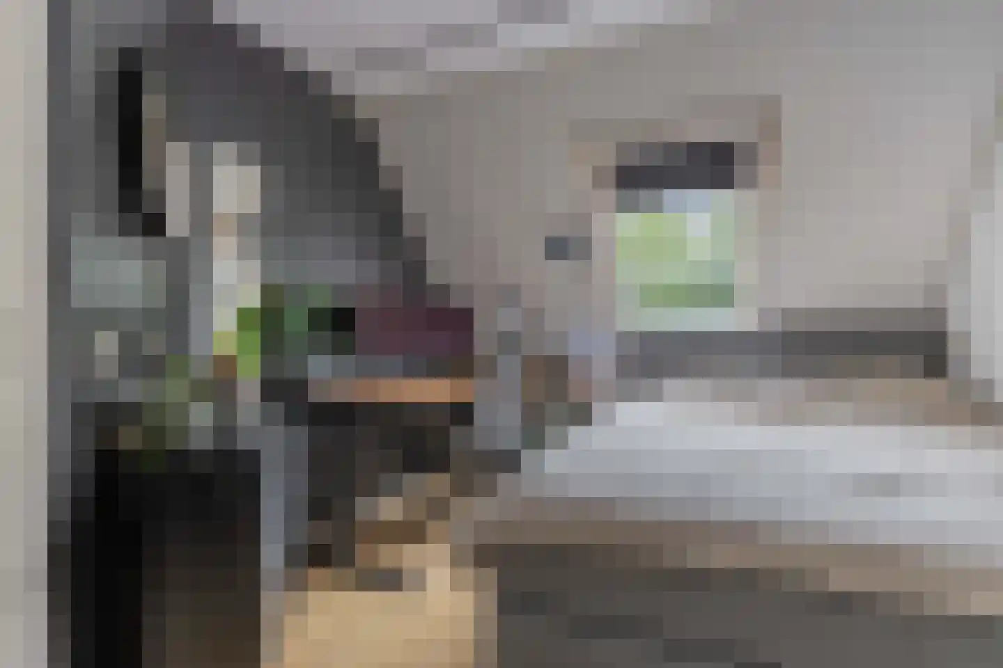 Nieuwe Bovenweg 8 Steggerda thumbnail 31