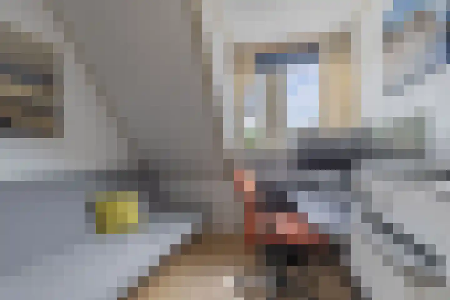 Nieuwe Bovenweg 8 Steggerda thumbnail 32
