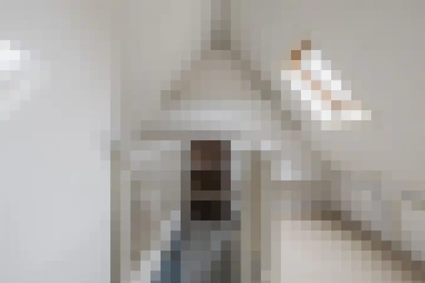 Nieuwe Bovenweg 8 Steggerda thumbnail 33