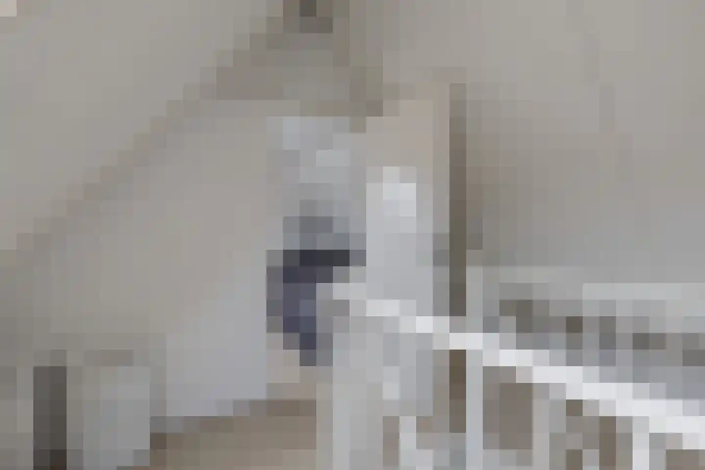 Nieuwe Bovenweg 8 Steggerda thumbnail 34