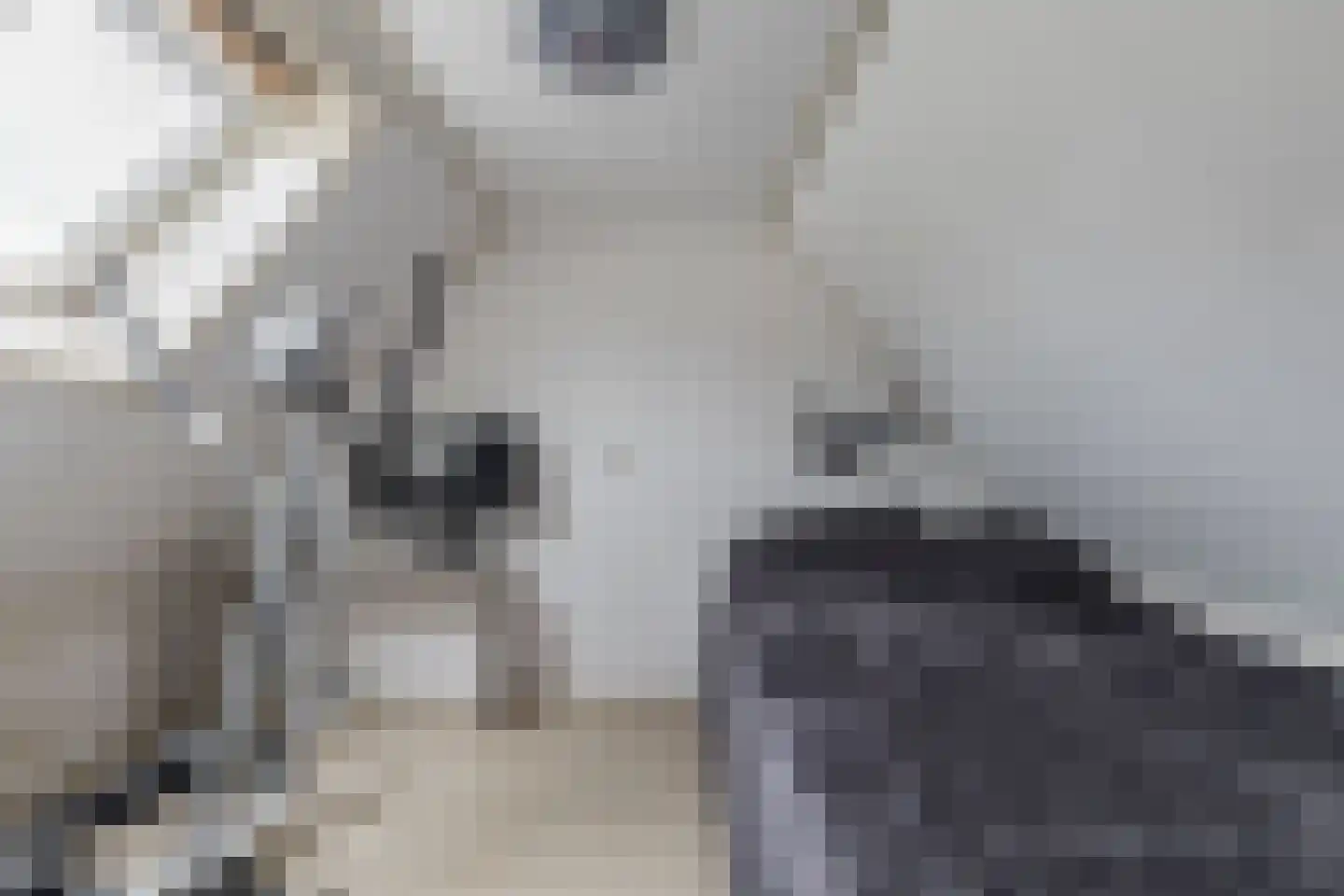 Nieuwe Bovenweg 8 Steggerda thumbnail 35
