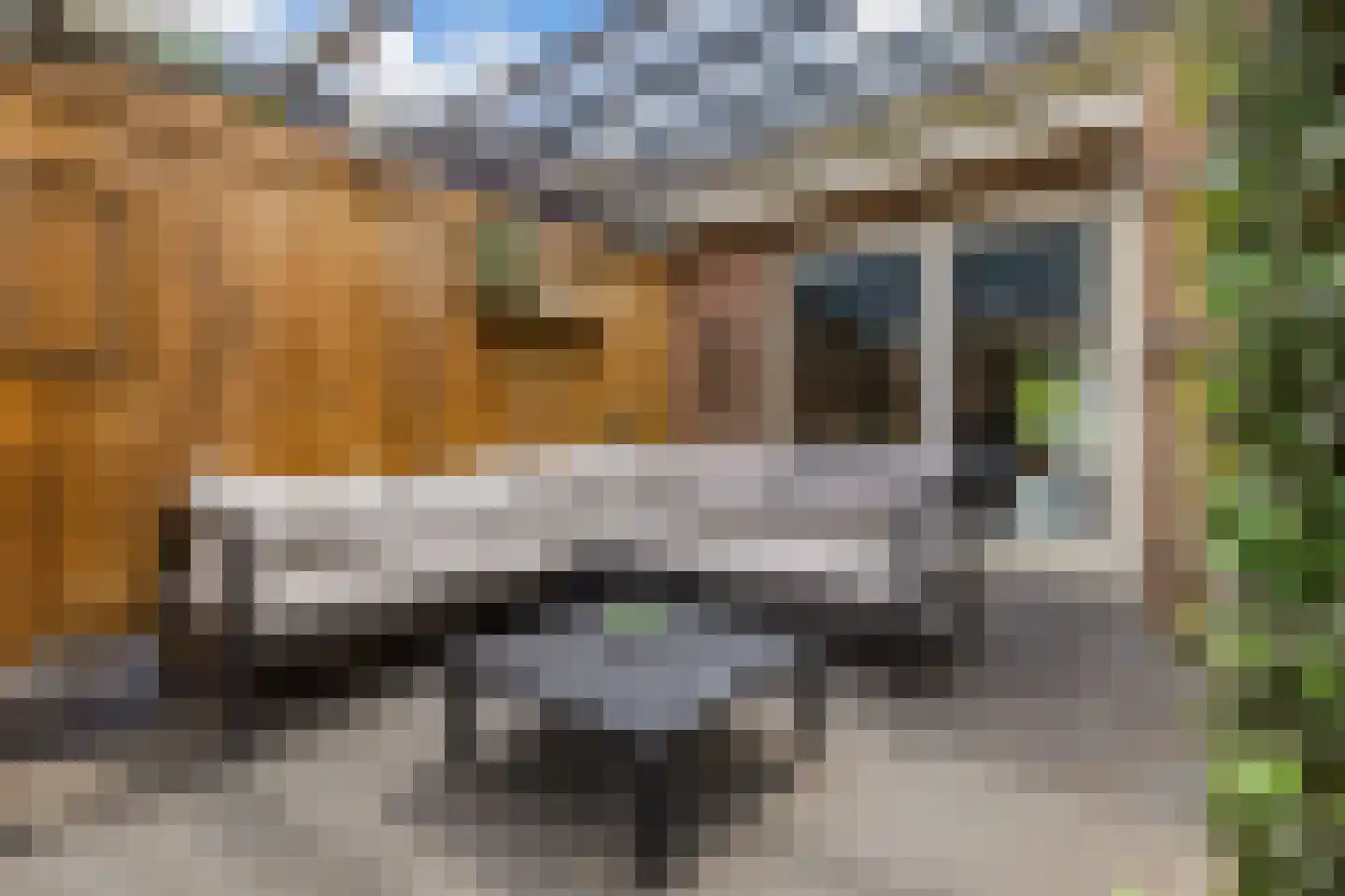 Nieuwe Bovenweg 8 Steggerda thumbnail 36