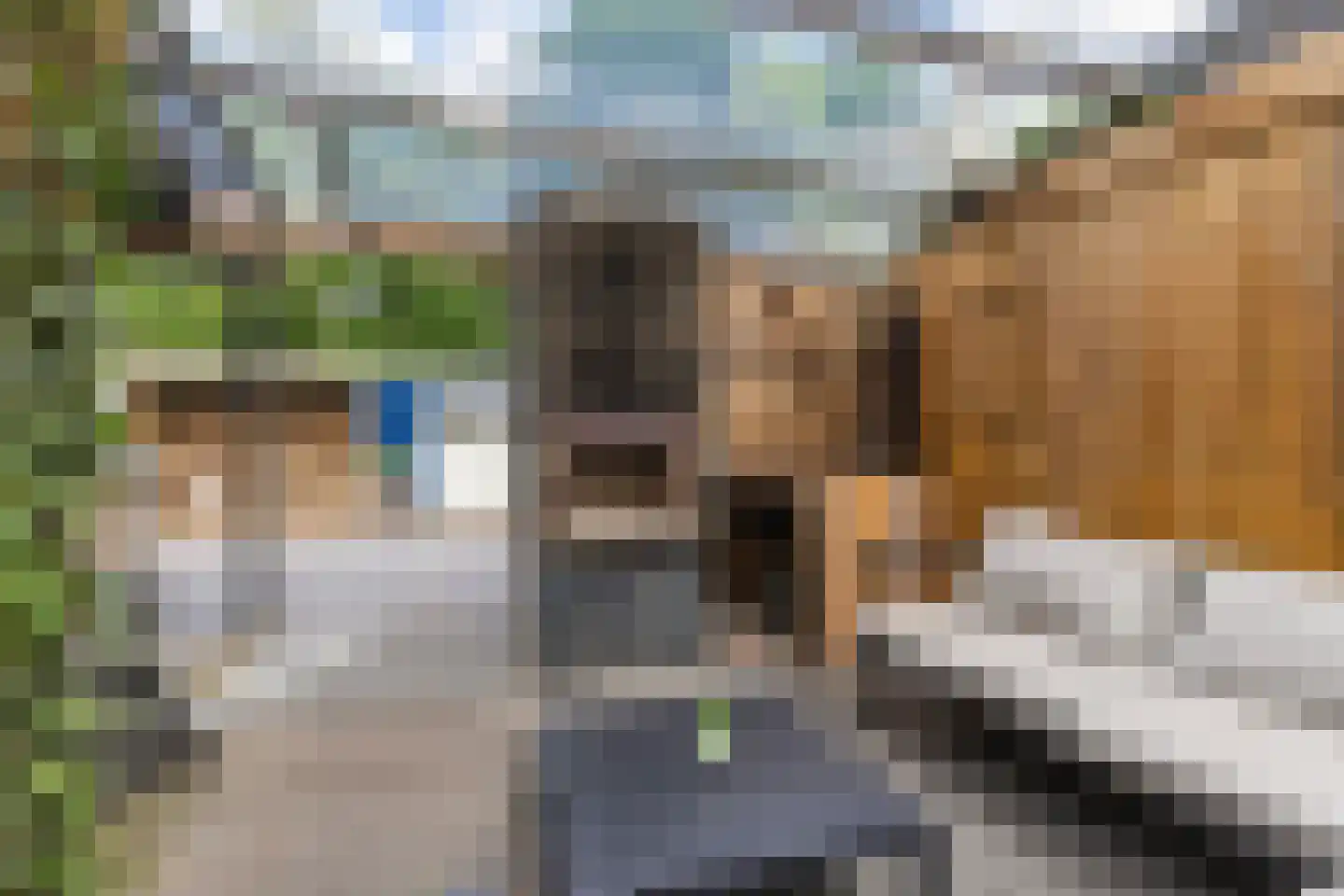 Nieuwe Bovenweg 8 Steggerda thumbnail 37