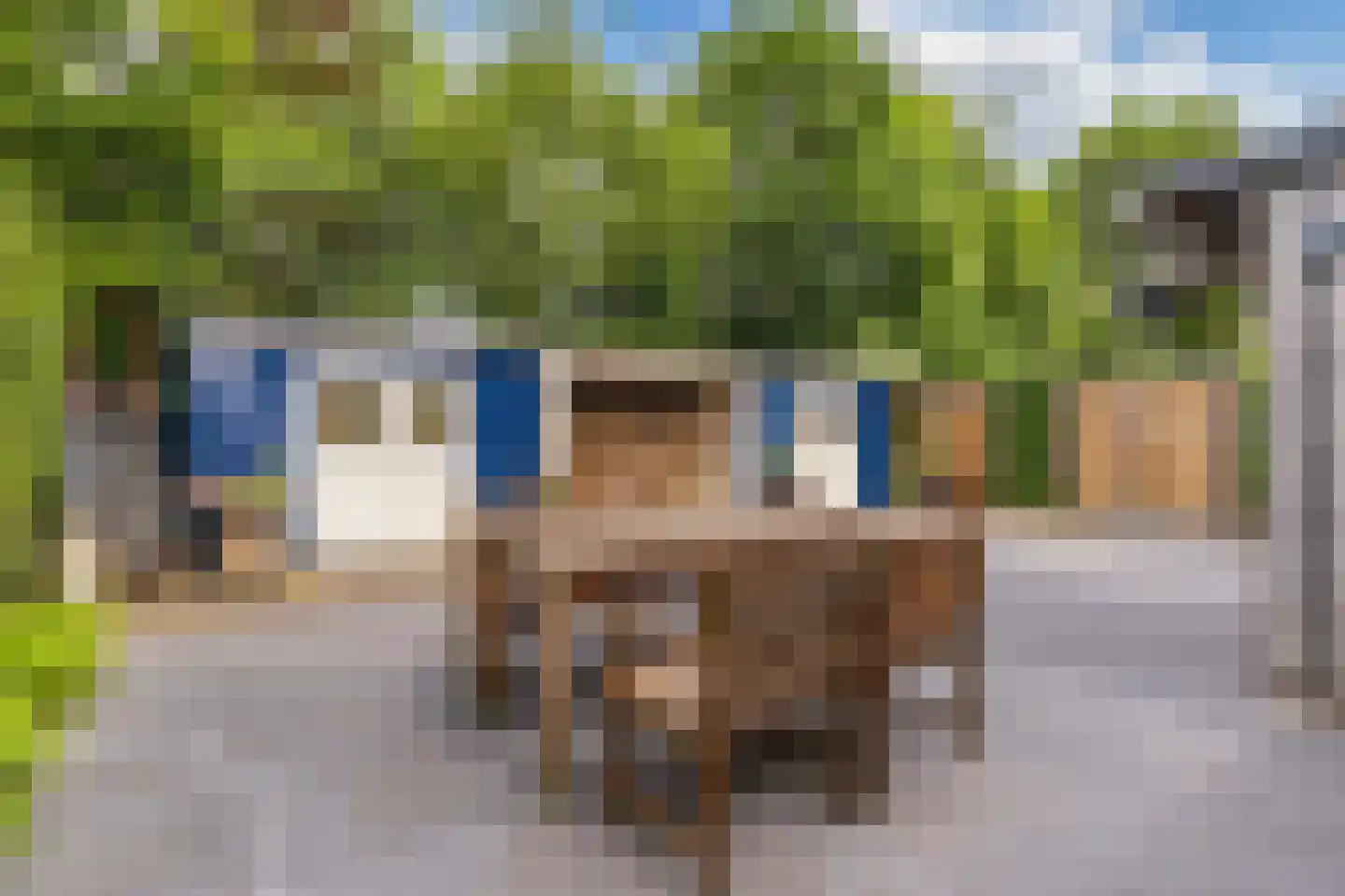 Nieuwe Bovenweg 8 Steggerda thumbnail 41