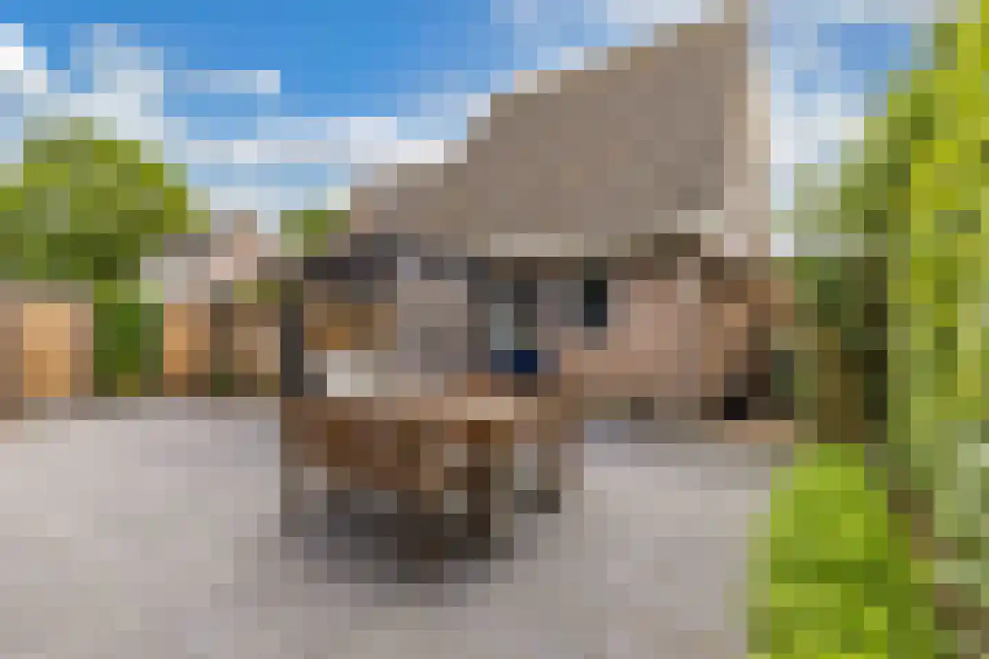Nieuwe Bovenweg 8 Steggerda thumbnail 42