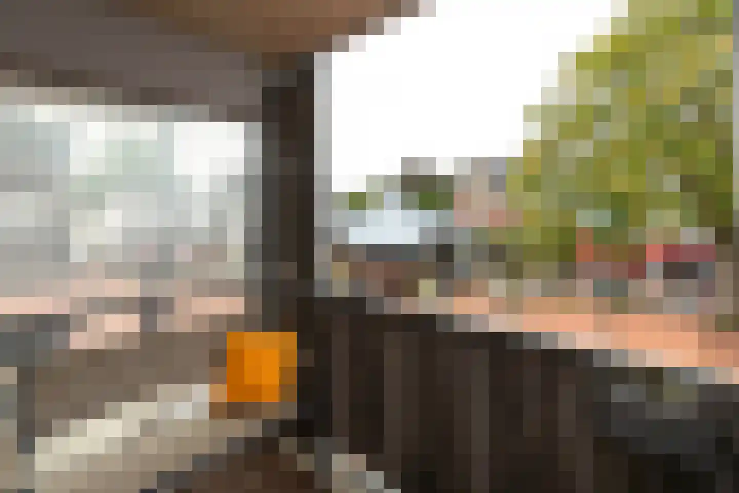 Nieuwe Brink 27 Bussum thumbnail 23