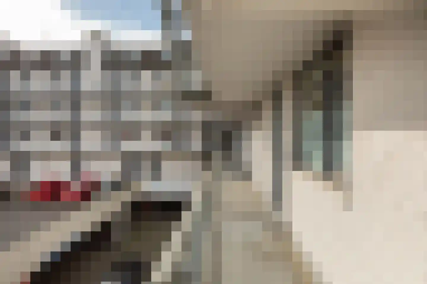 Nieuwe Brink 27 Bussum thumbnail 24
