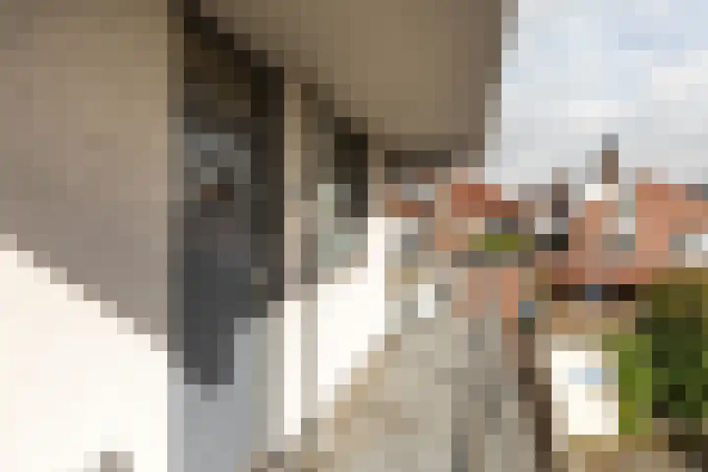 Nieuwe Brink 27 Bussum thumbnail 7