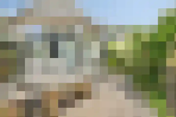 Nieuwe Brouwerstraat 10 Oss thumbnail 34
