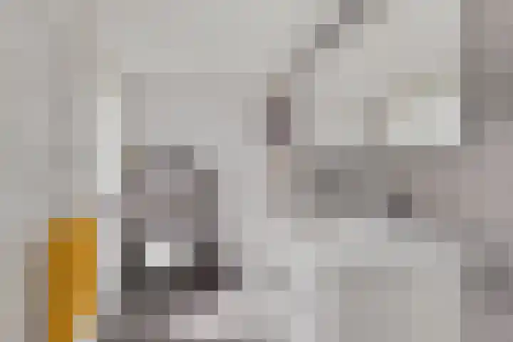 Nieuwe Brouwerstraat 10 Oss thumbnail 5