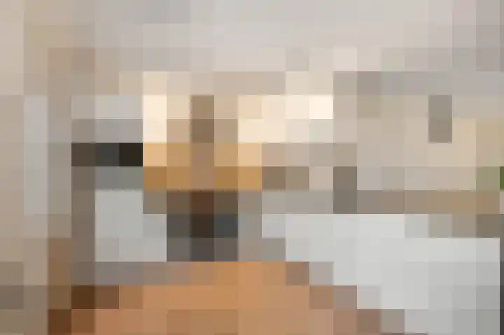 Nieuwe Brouwerstraat 11 Oss thumbnail 11