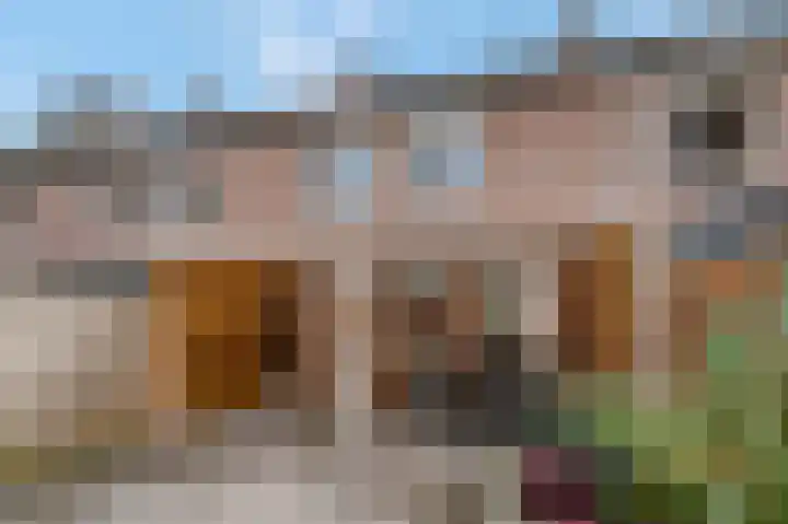 Nieuwe Brouwerstraat 11 Oss thumbnail 17