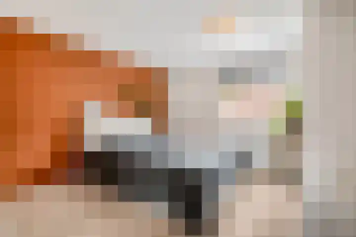Nieuwe Brouwerstraat 11 Oss thumbnail 20