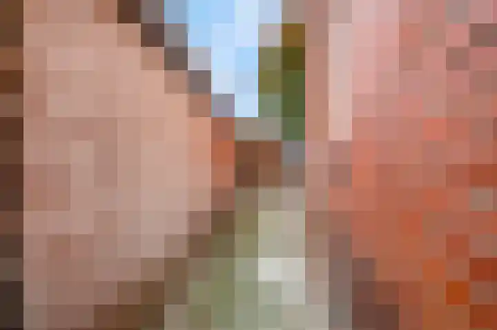 Nieuwe Brouwerstraat 11 Oss thumbnail 34