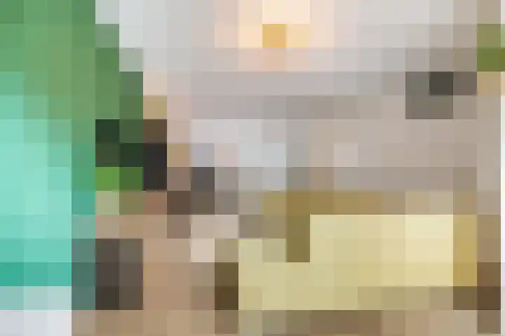 Nieuwe Brouwerstraat 11 Oss thumbnail 8
