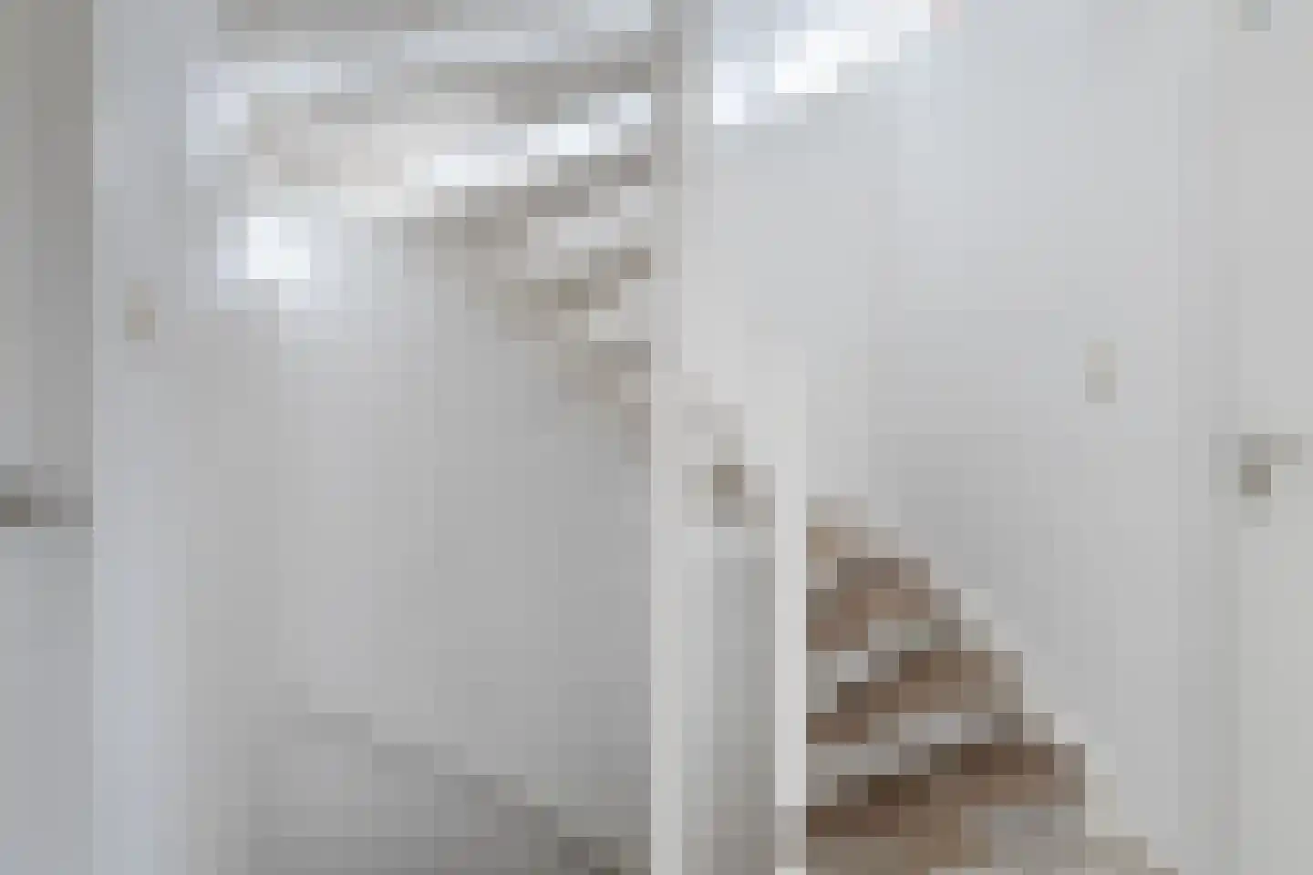 Nieuwe Brouwerstraat 3 Oss thumbnail 12