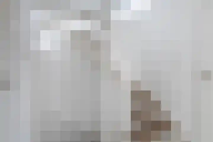 Nieuwe Brouwerstraat 3 Oss thumbnail 13