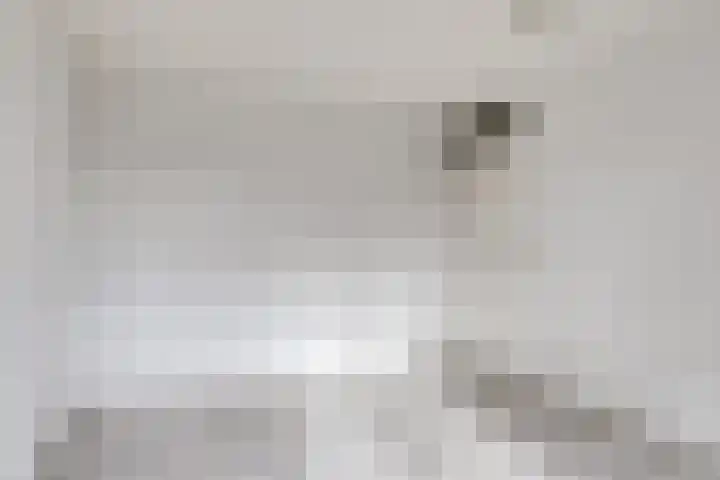 Nieuwe Brouwerstraat 3 Oss thumbnail 15