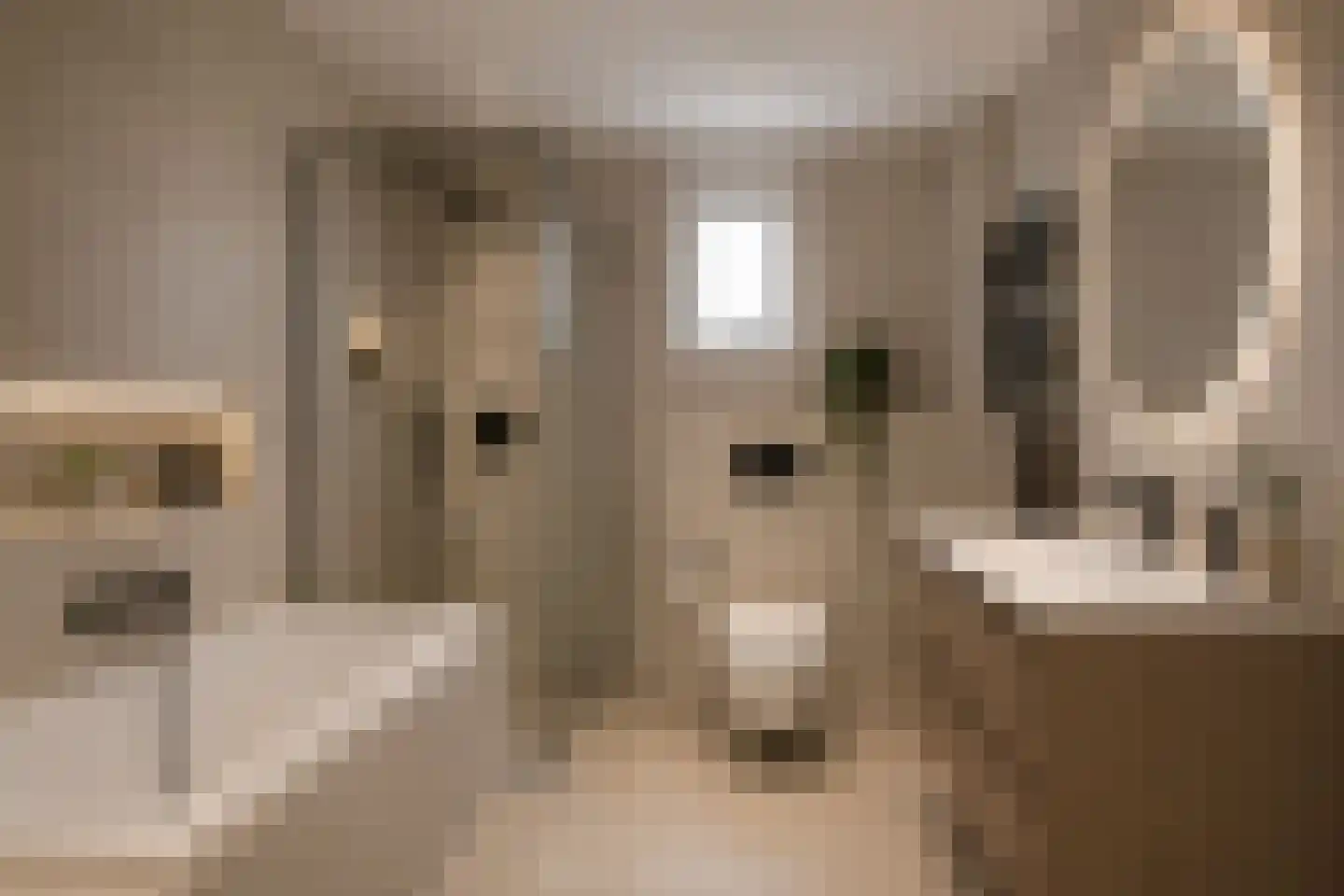 Nieuwe Brouwerstraat 3 Oss thumbnail 16