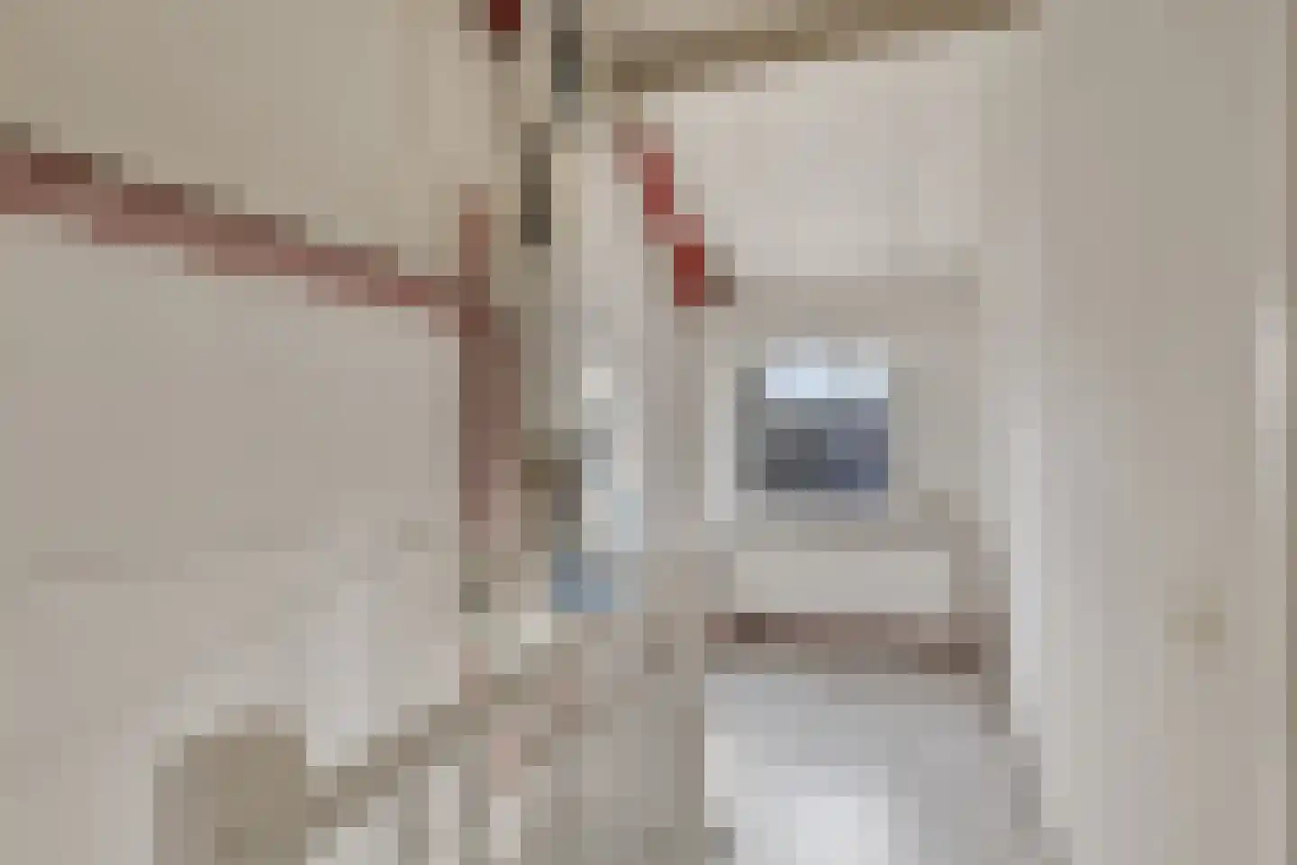 Nieuwe Brouwerstraat 3 Oss thumbnail 21