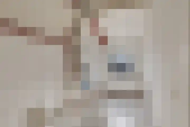 Nieuwe Brouwerstraat 3 Oss thumbnail 22