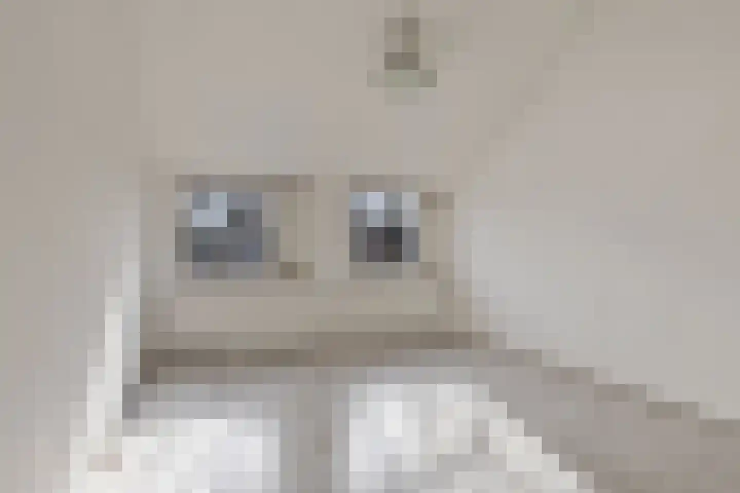 Nieuwe Brouwerstraat 3 Oss thumbnail 22