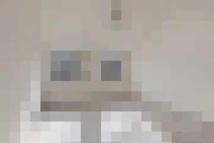Nieuwe Brouwerstraat 3 Oss thumbnail 23
