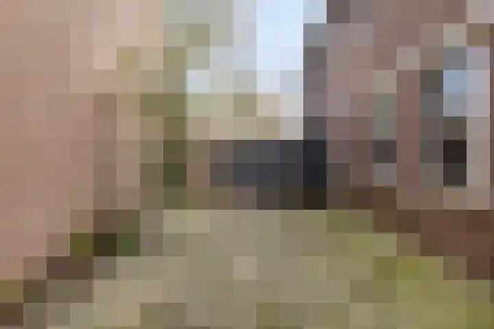 Nieuwe Brouwerstraat 3 Oss thumbnail 25