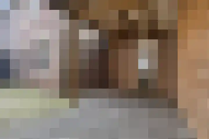 Nieuwe Brouwerstraat 3 Oss thumbnail 27