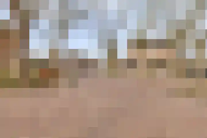 Nieuwe Brouwerstraat 3 Oss thumbnail 29