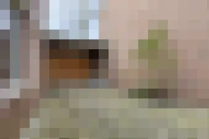 Nieuwe Brouwerstraat 3 Oss thumbnail 4