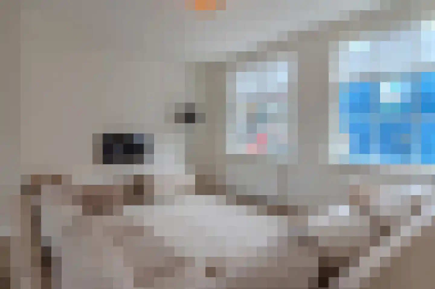Nieuwe Burg 15 Middelburg thumbnail 6