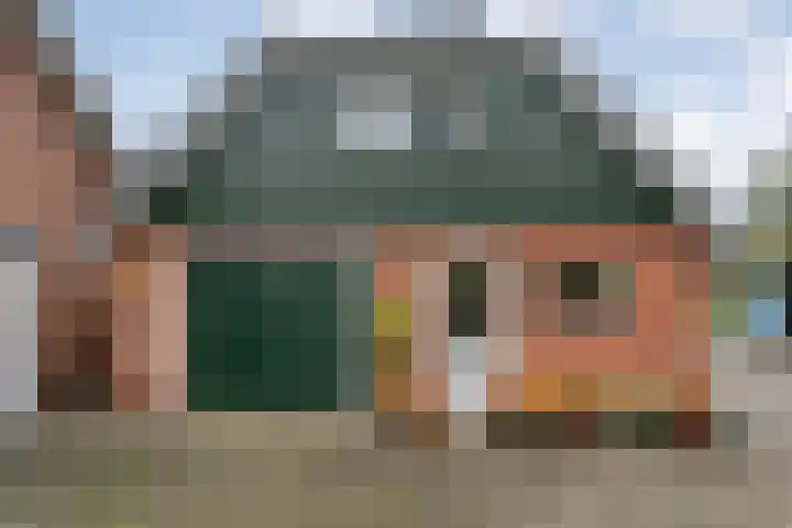 Nieuwe Burgerkampweg 9 Hardenberg thumbnail 10