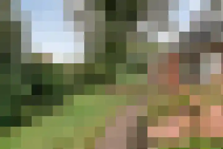 Nieuwe Burgerkampweg 9 Hardenberg thumbnail 11