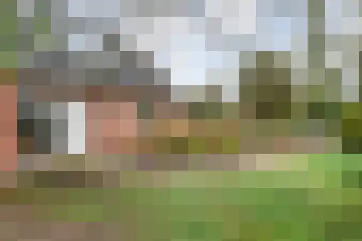 Nieuwe Burgerkampweg 9 Hardenberg thumbnail 12