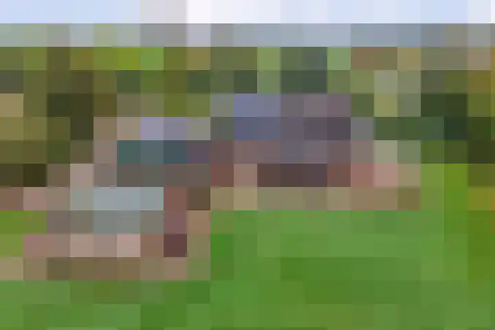 Nieuwe Burgerkampweg 9 Hardenberg thumbnail 4