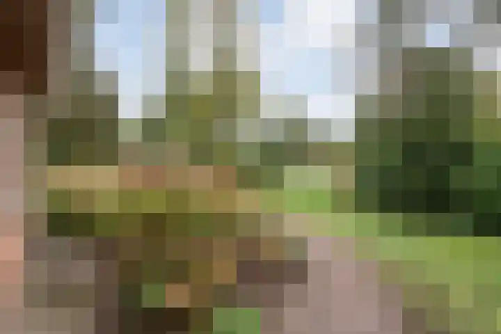 Nieuwe Burgerkampweg 9 Hardenberg thumbnail 47