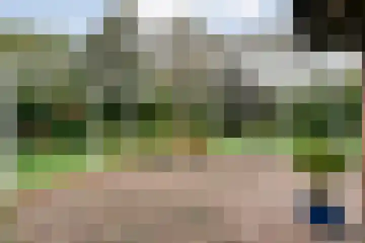 Nieuwe Burgerkampweg 9 Hardenberg thumbnail 48