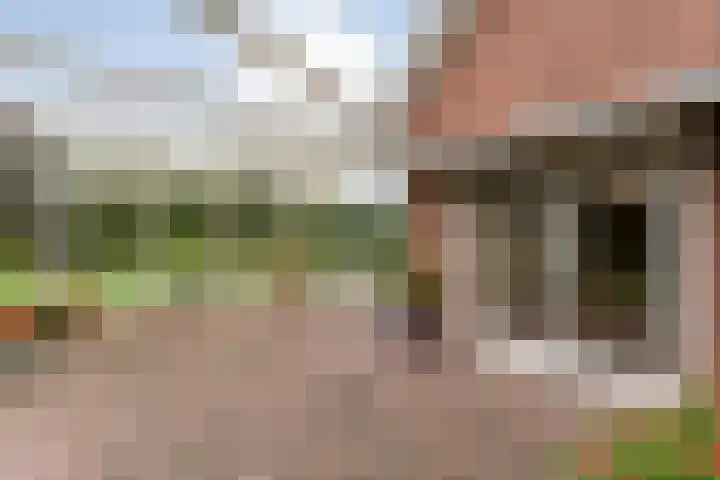 Nieuwe Burgerkampweg 9 Hardenberg thumbnail 49