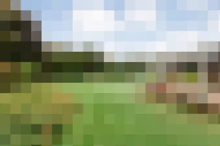 Nieuwe Burgerkampweg 9 Hardenberg thumbnail 51