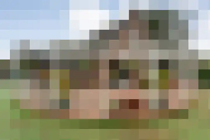 Nieuwe Burgerkampweg 9 Hardenberg thumbnail 52
