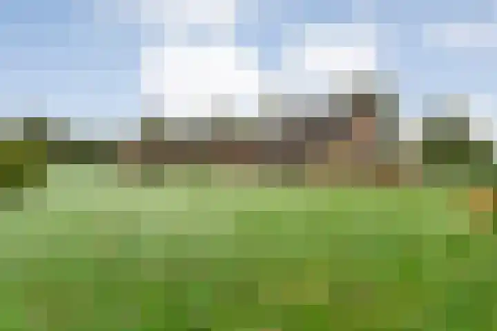 Nieuwe Burgerkampweg 9 Hardenberg thumbnail 53