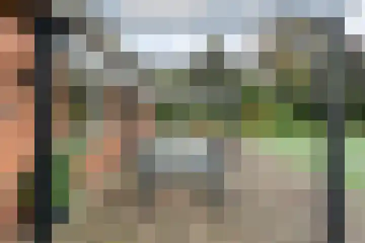 Nieuwe Burgerkampweg 9 Hardenberg thumbnail 55