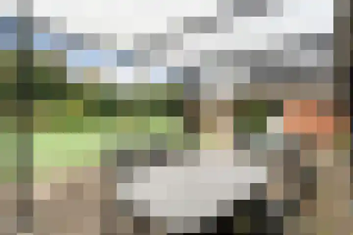 Nieuwe Burgerkampweg 9 Hardenberg thumbnail 56