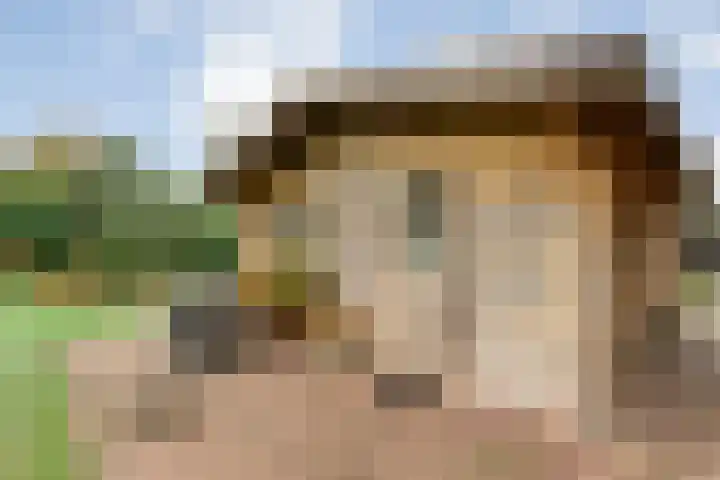Nieuwe Burgerkampweg 9 Hardenberg thumbnail 58