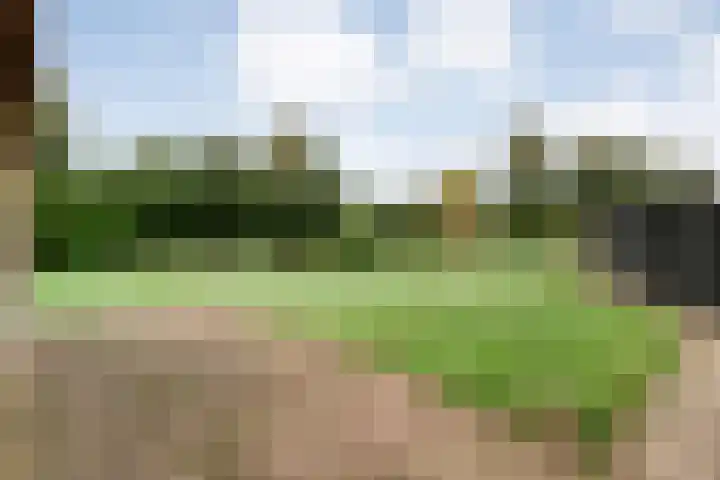 Nieuwe Burgerkampweg 9 Hardenberg thumbnail 59