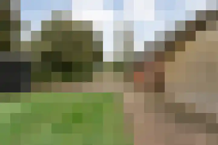 Nieuwe Burgerkampweg 9 Hardenberg thumbnail 60