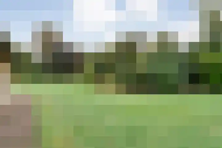 Nieuwe Burgerkampweg 9 Hardenberg thumbnail 61